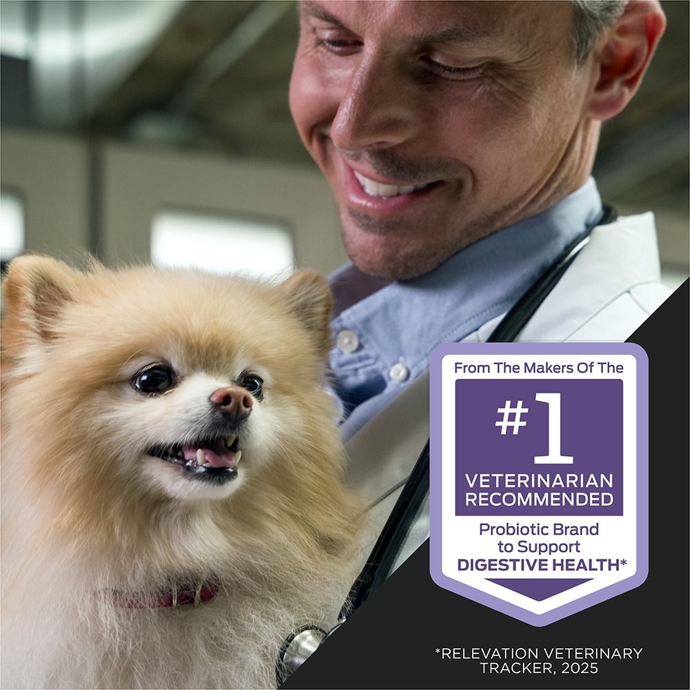 6-purina-pro-plan-veterinary-supplements-fortiflora-plus-probiotic-colostrum-veterinarian-recommended.jpg