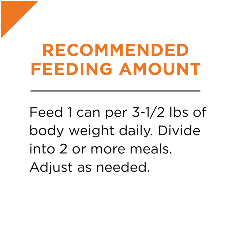 feline-chunky-chicken-feeding.png
