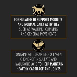 Joint Care Soft Chews Dog Supplement
