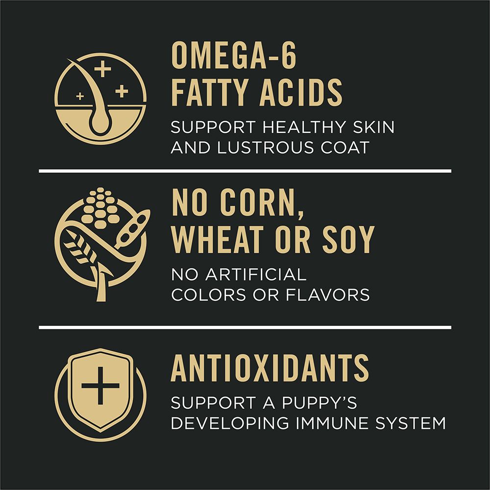 pp_dry_dog_dev_sss_slmnrc_fb3.jpg