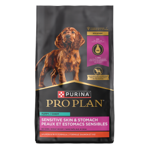 Development Sensitive Skin & Stomach Salmon & Rice Dry Puppy Food