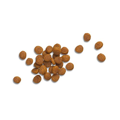ppvd_cat_dry_en_2_500x500.jpg