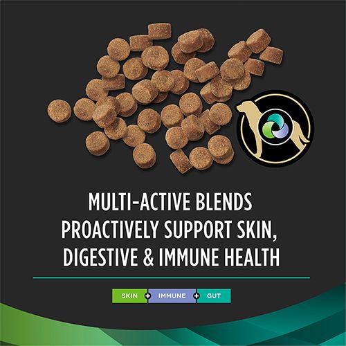 ppvd_dog_multicare_supplement_1_500x500.jpg