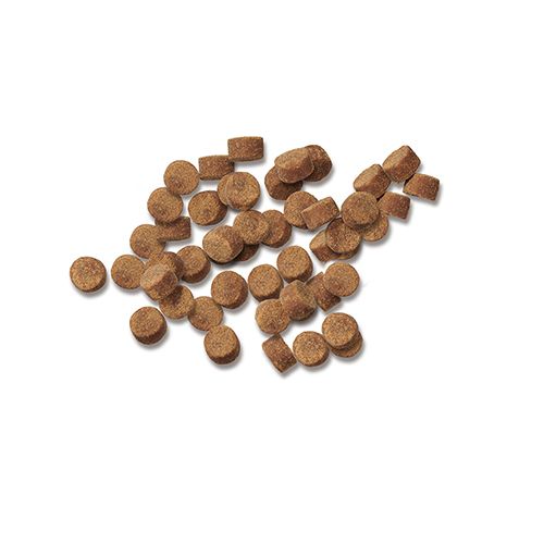 ppvd_dog_multicare_supplement_500x500.jpg