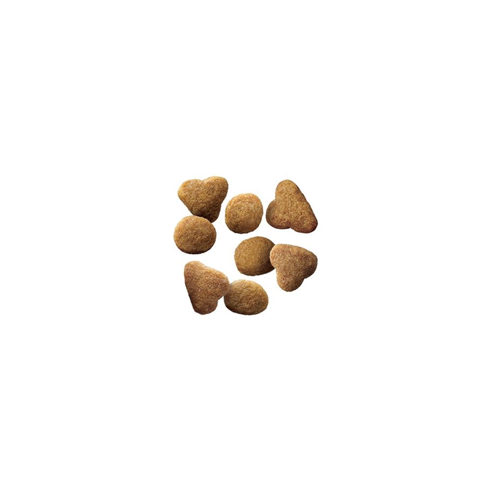 pro-plan-adult-indoor-hairball-salmon-dry-cat-food-bite-size-kibble-pieces.jpg