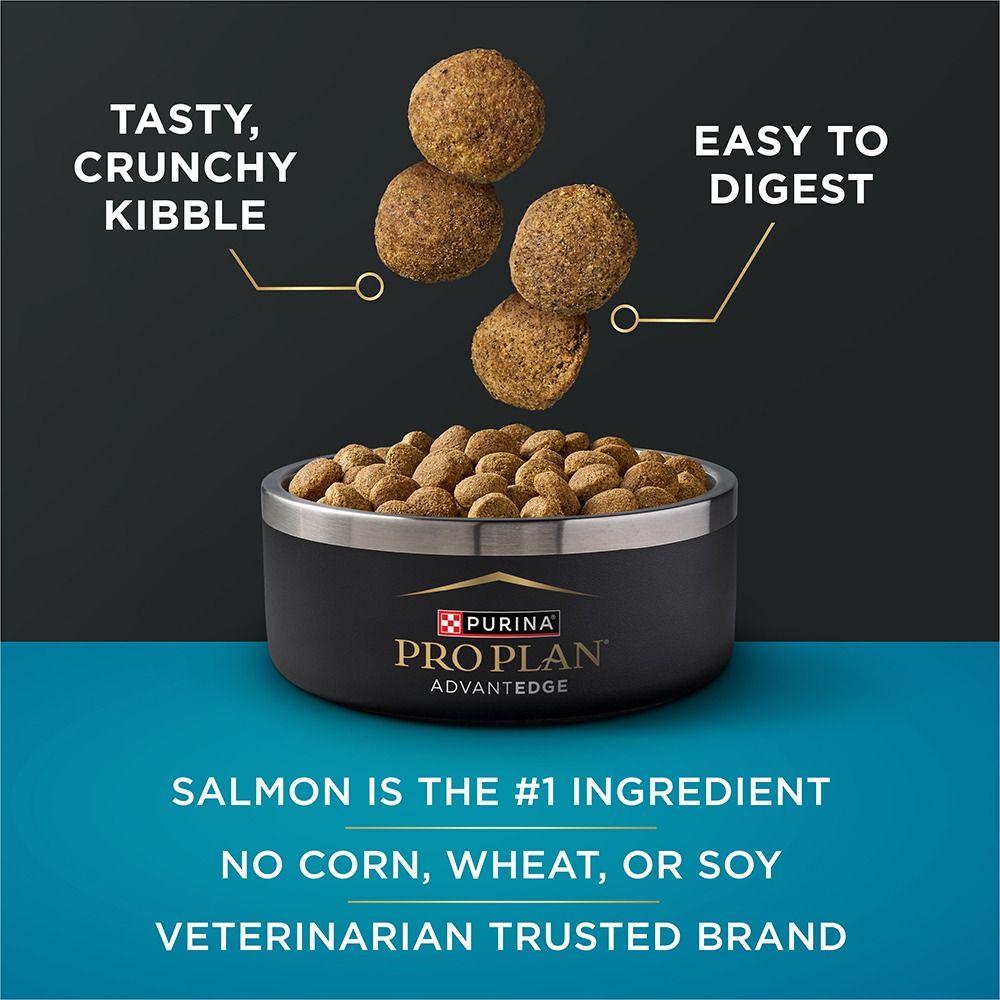 pro-plan-advantedge-digestive-support-dry-dog-food-tasty-salmon.jpg