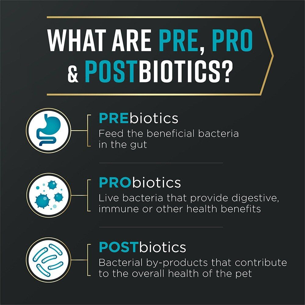 pro-plan-advantedge-digestive-support-dry-food-prebiotics_3_1.jpg