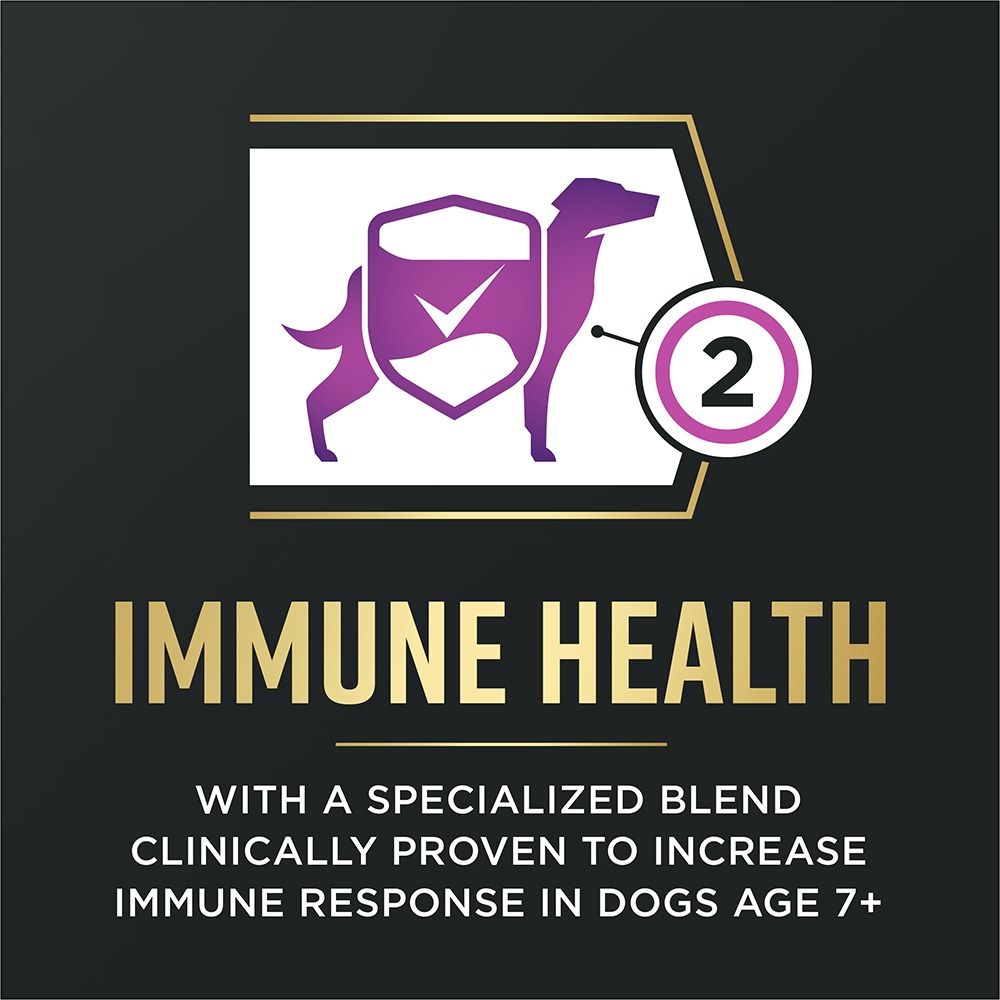 pro-plan-advantedge-senior-support-dry-dog-food-immune-health_1.jpg