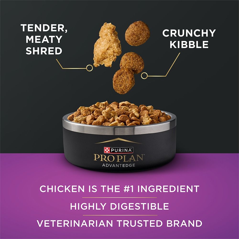 pro-plan-advantedge-senior-support-dry-dog-food-tasty-chicken_1.jpg
