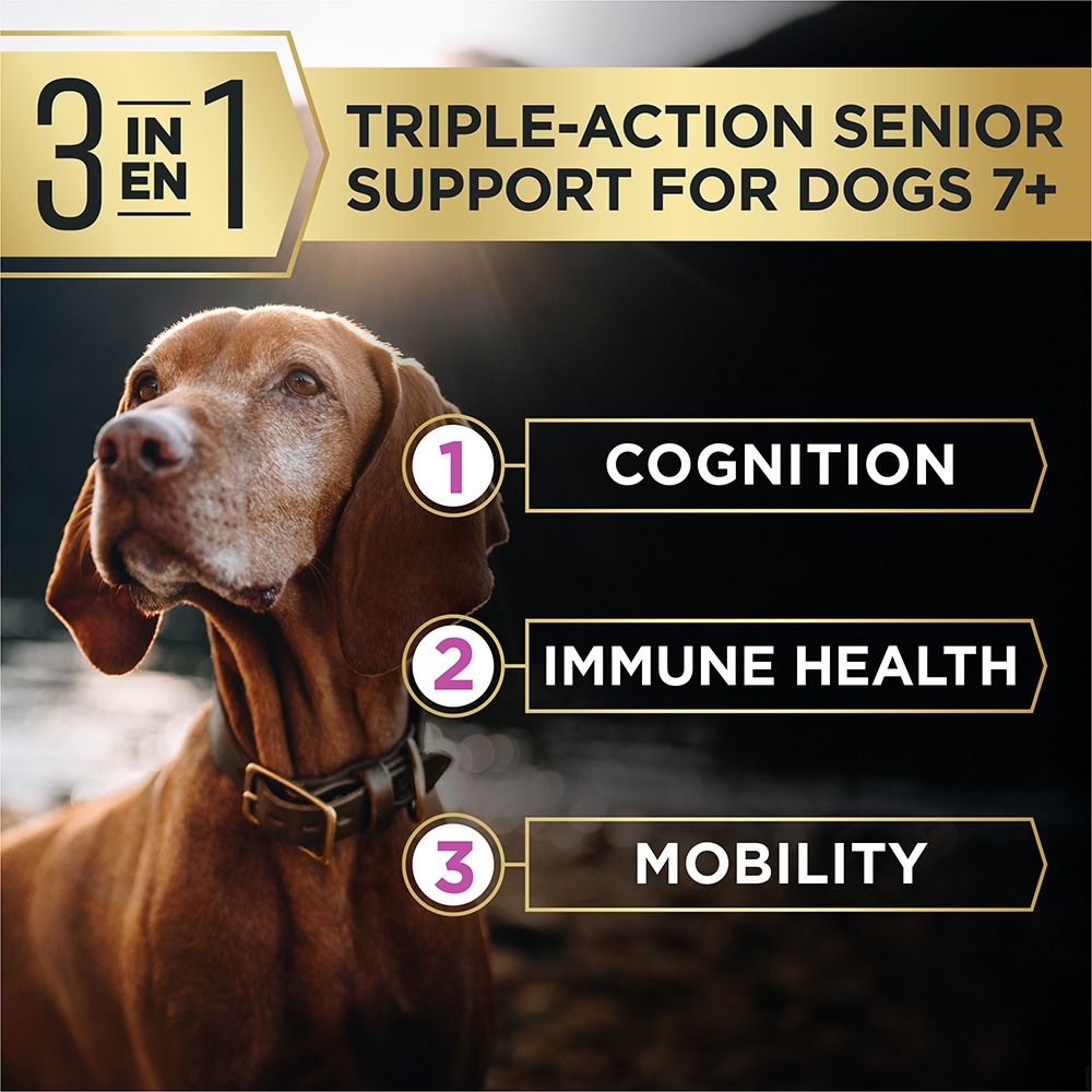 pro-plan-advantedge-senior-support-dry-dog-food-triple-action_2.jpg