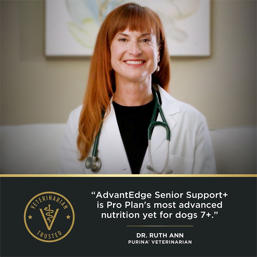 pro-plan-advantedge-senior-support-dry-dog-food-vet-approved_1.jpg