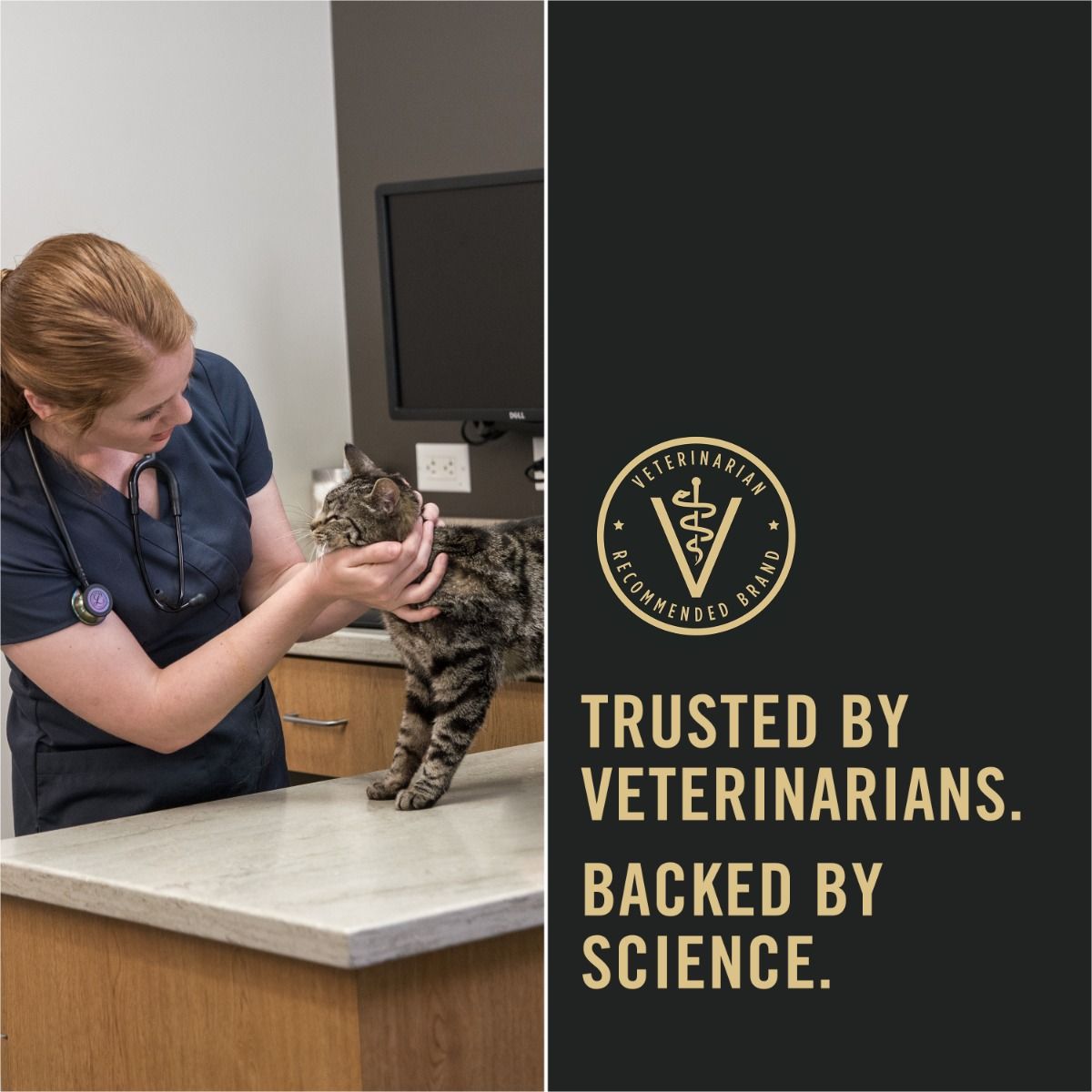 pro-plan-cat-food-trusted-by-vets_1.jpg