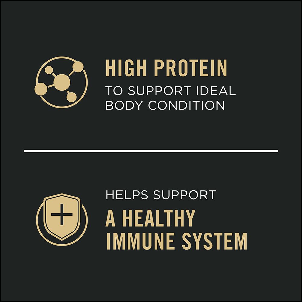 pro-plan-complete-essentials-wet-dog-food-high-protein-immune-system_1.jpg