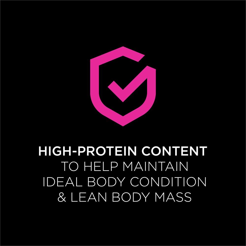 pro-plan-veterinary-diets-ur-savory-selects-salmon-high-protein.jpg