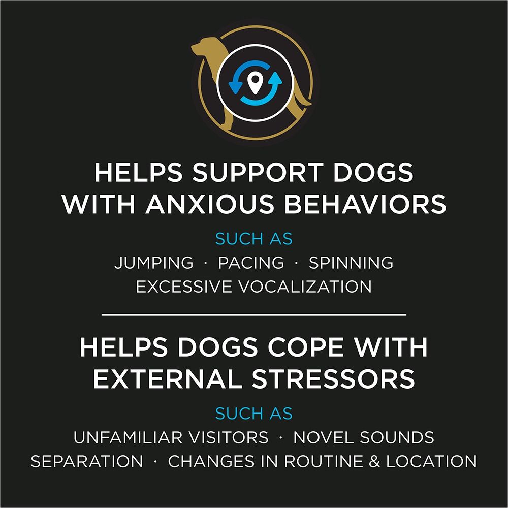 pro-plan-veterinary-supplements-calming-care-canine-helps-anxious-behaviors-and-dogs-cope.jpg