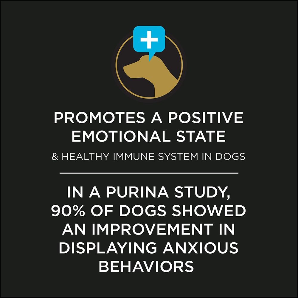 pro-plan-veterinary-supplements-calming-care-canine-promotes-positive-emotional-state.jpg
