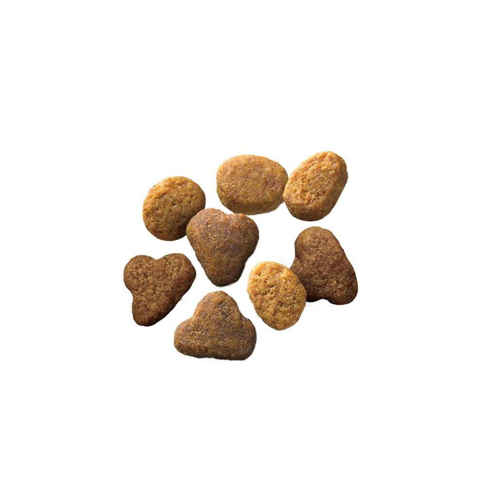 purina-pro-plan-complete-essentials-chicken-rice-adult-dry-cat-food-kibble.jpg