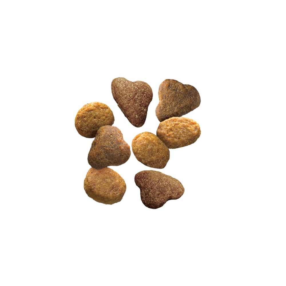 purina-pro-plan-complete-essentials-salmon-rice-adult-dry-cat-food-kibble.jpg