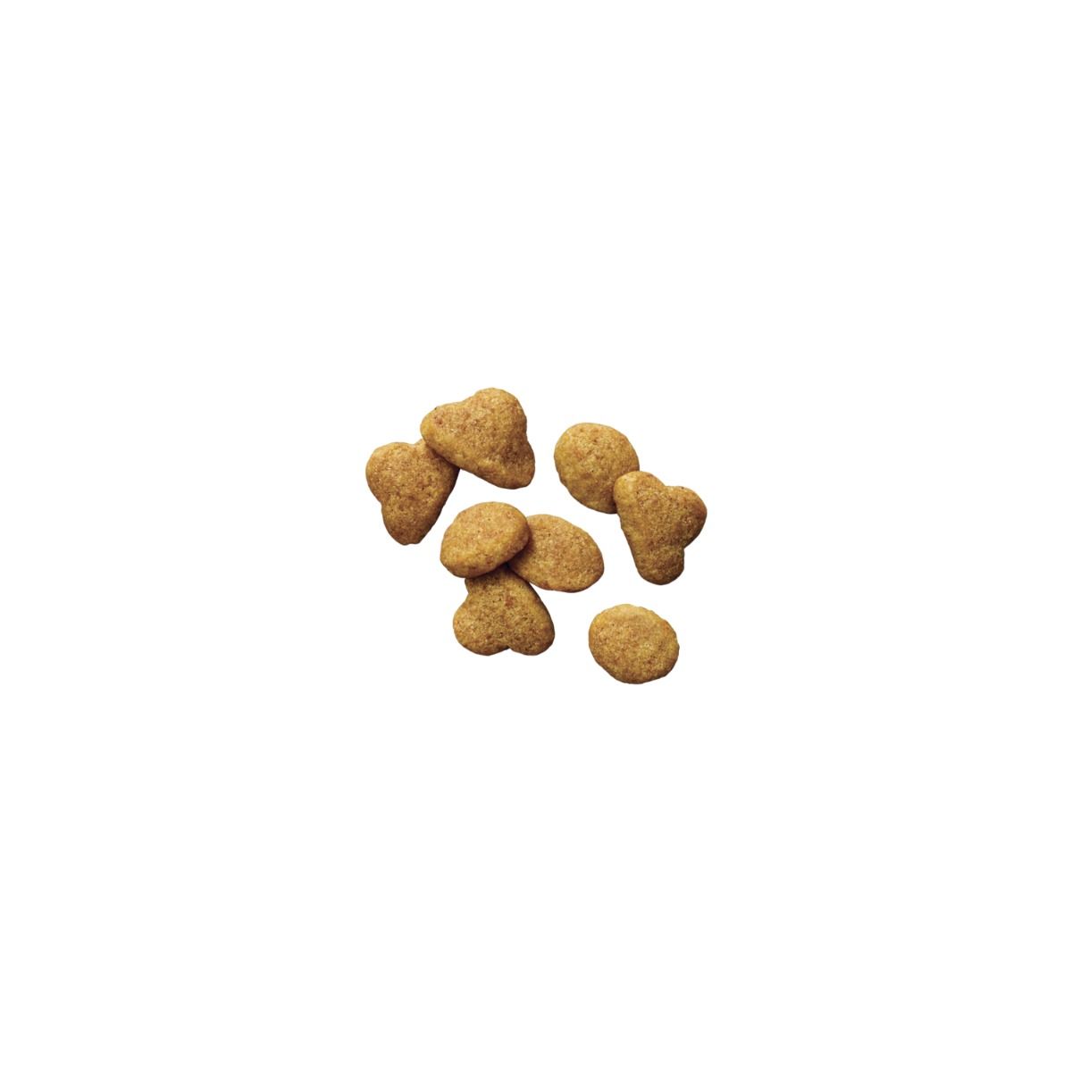 purina-pro-plan-indoor-adult-chicken-dry-cat-food-kibble.jpg