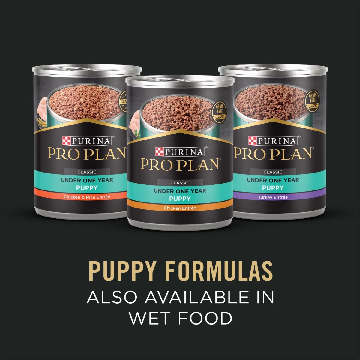 purina-pro-plan-sensitive-skin-stomach-development-large-breed-salmon-rice-dry-puppy-food-available-in-wet.jpg