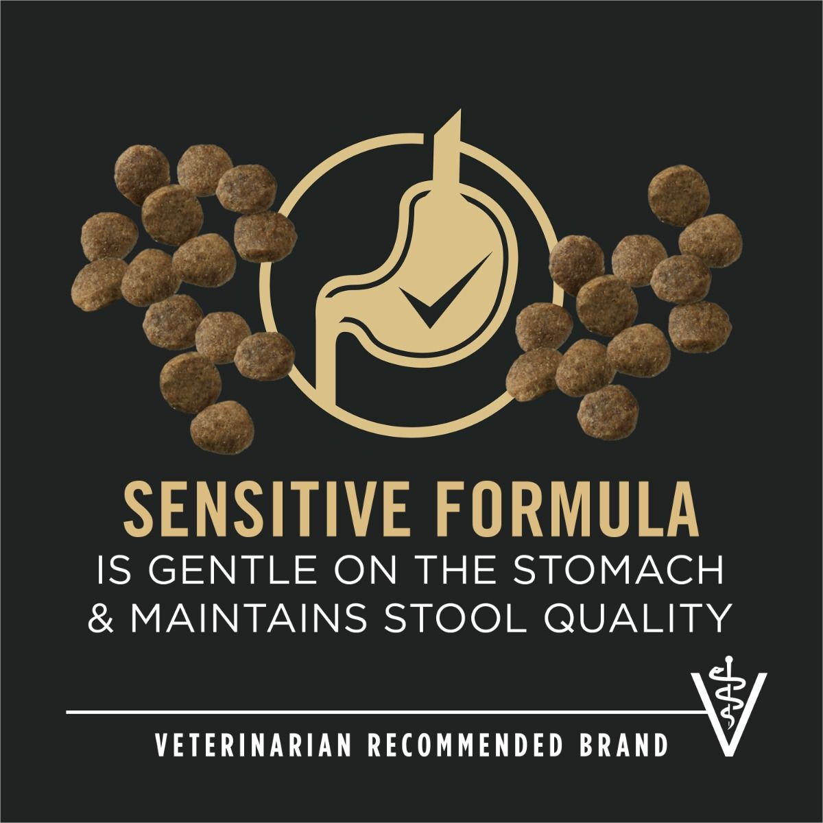 purina-pro-plan-sensitive-skin-stomach-development-large-breed-salmon-rice-dry-puppy-food-gentle.jpg