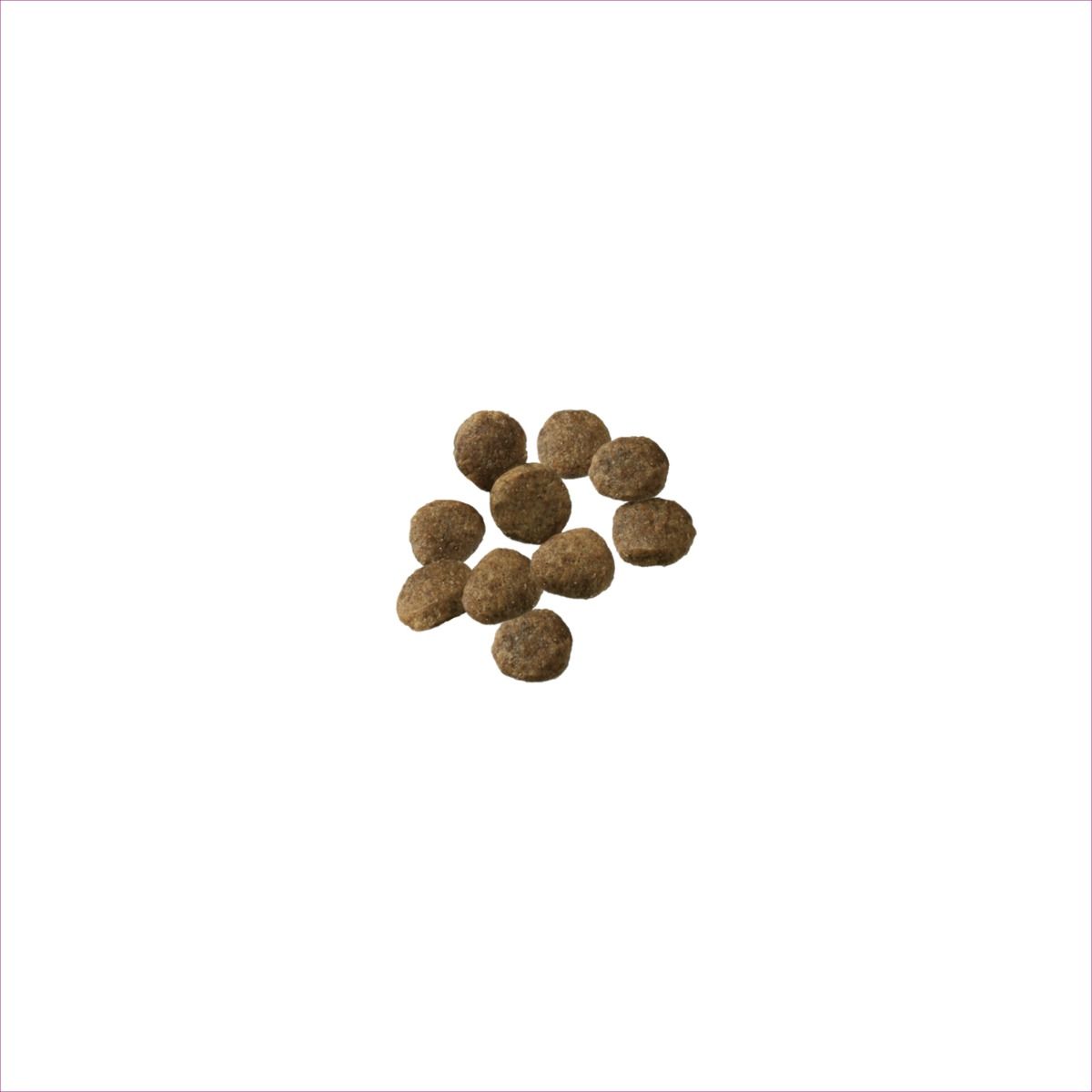 purina-pro-plan-sensitive-skin-stomach-development-large-breed-salmon-rice-dry-puppy-food-kibble.jpg