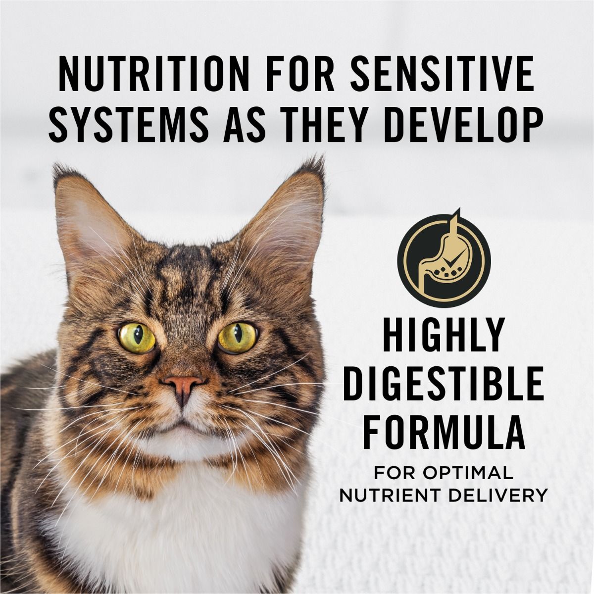 purina-pro-plan-sensitive-skin-stomach-salmon-rice-dry-cat-food-highly-digestible.jpg