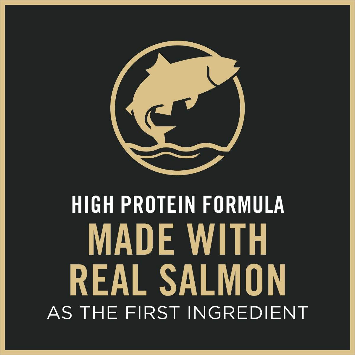purina-pro-plan-sensitive-skin-stomach-salmon-rice-dry-cat-food-real-salmon.jpg